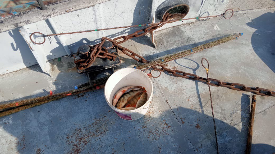 Рыб запрет 2023. Запрещенные орудия лова рыбы. На Ириклинском водохранилище поймали браконьеров. Ириклинское водохранилище рыба.